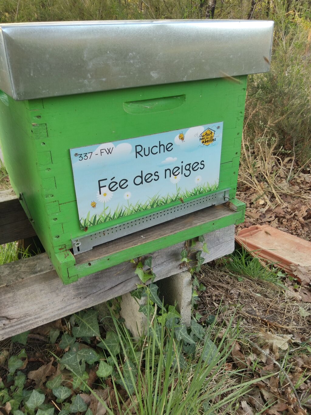 La ruche Fée des neiges