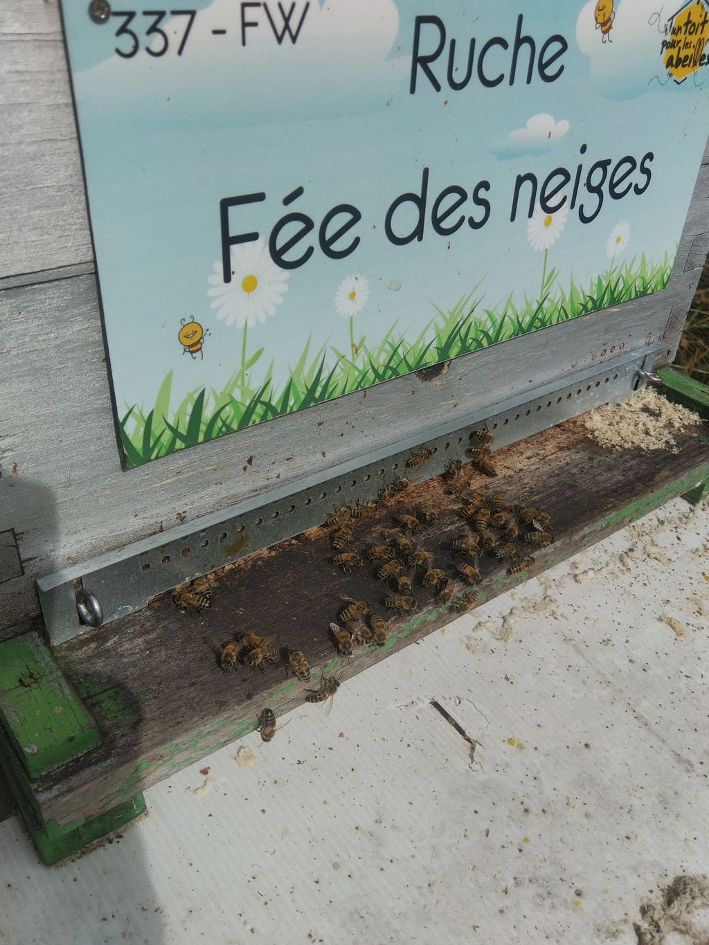 La ruche Fée des neiges