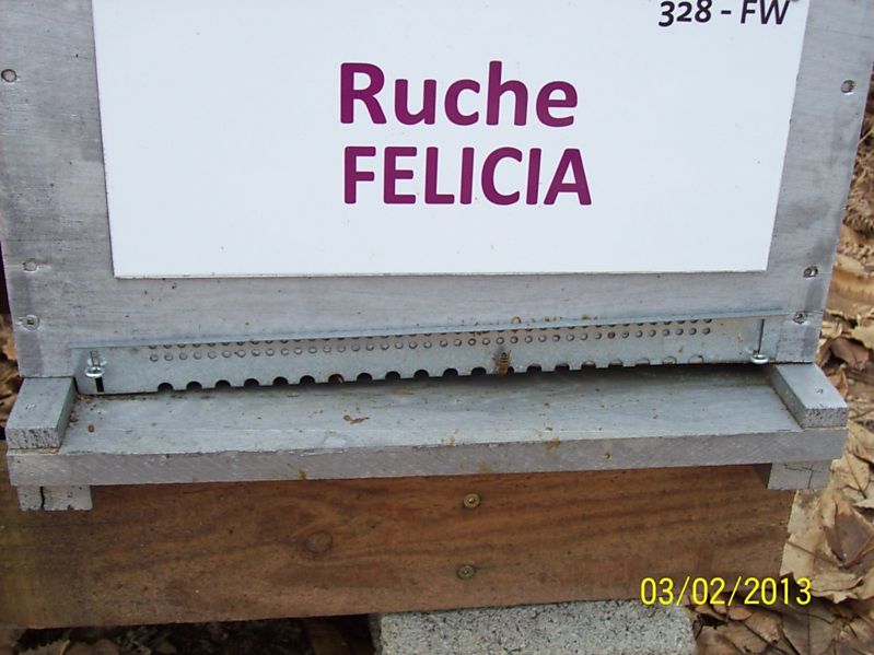 La ruche Félicia