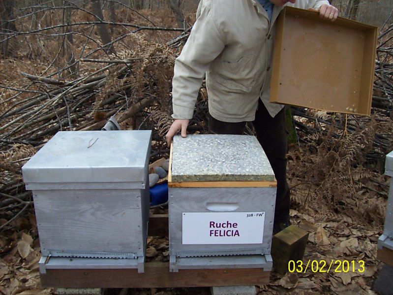 La ruche Félicia