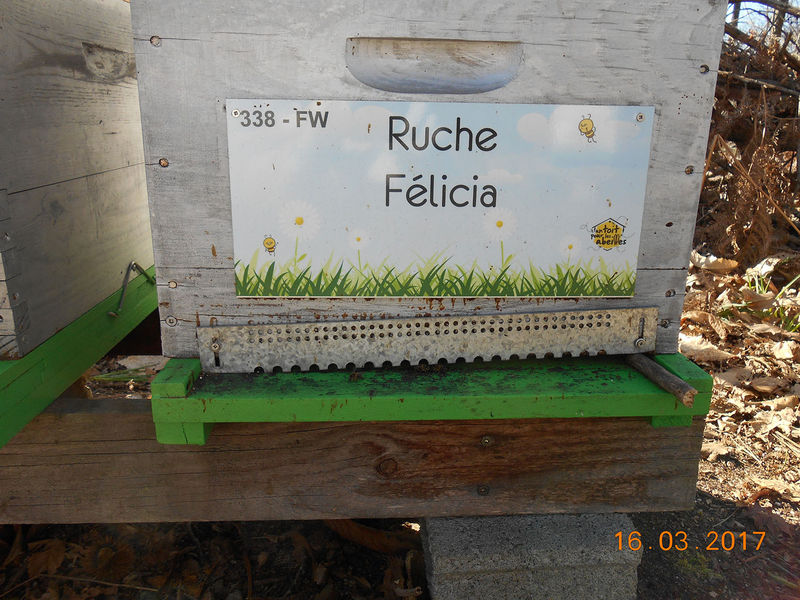 La ruche Félicia