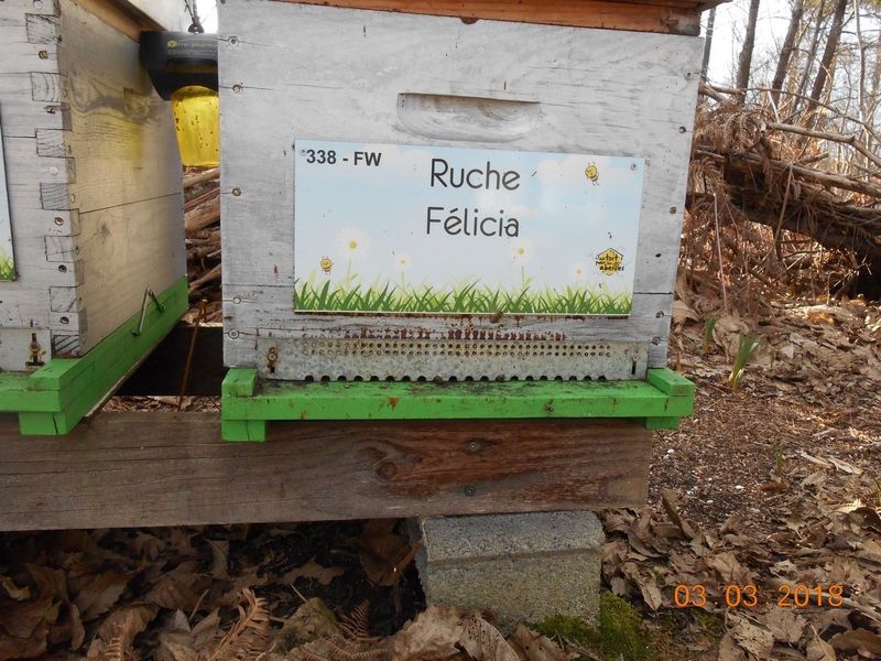 La ruche Félicia
