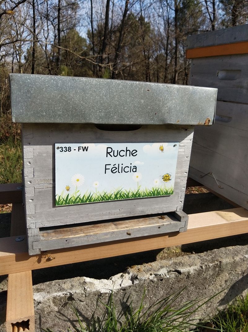 La ruche Félicia