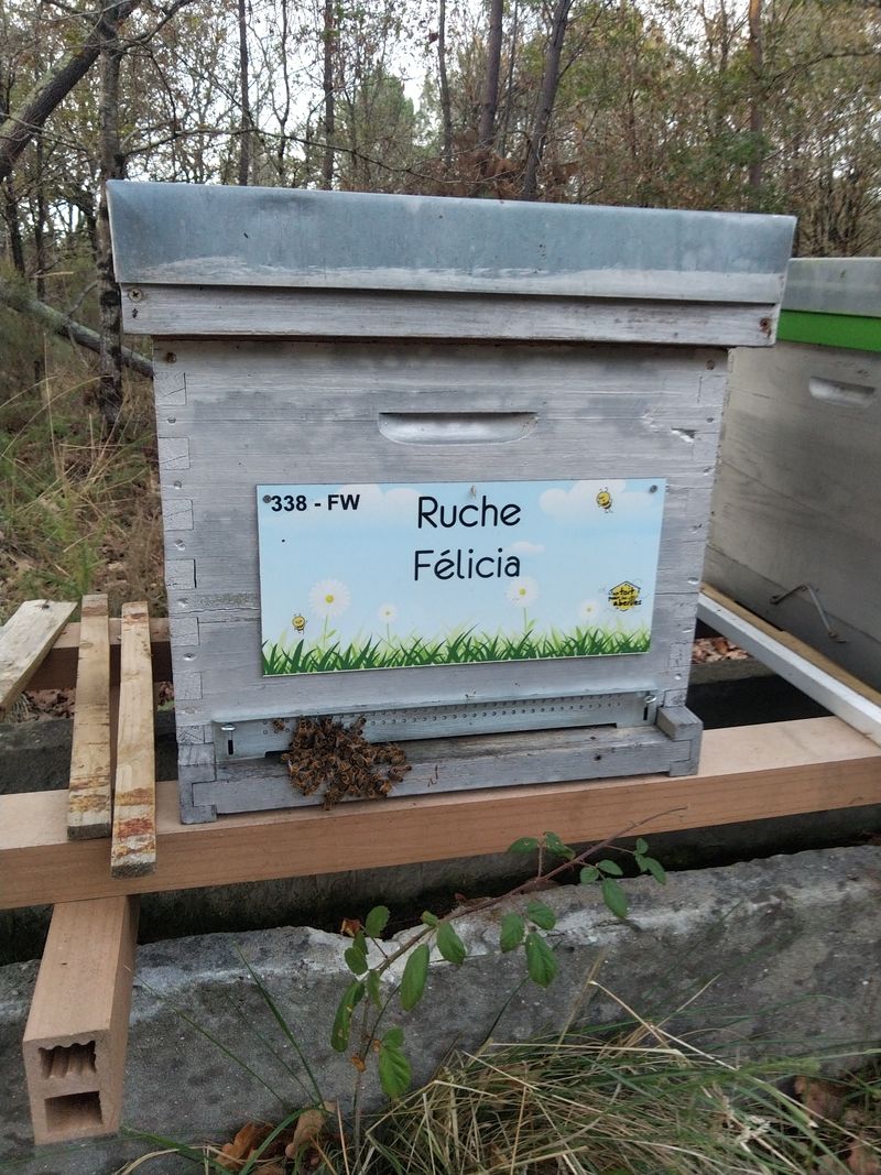 La ruche Félicia