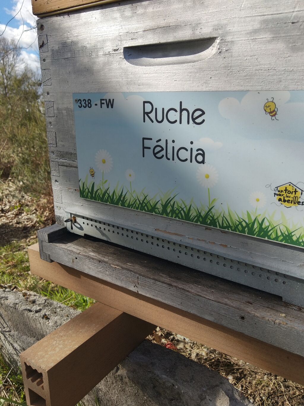 La ruche Félicia