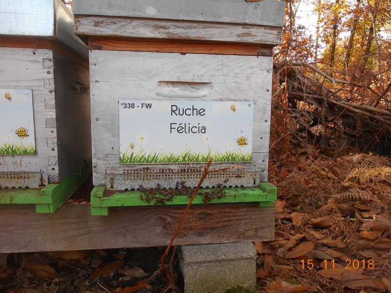 La ruche Félicia