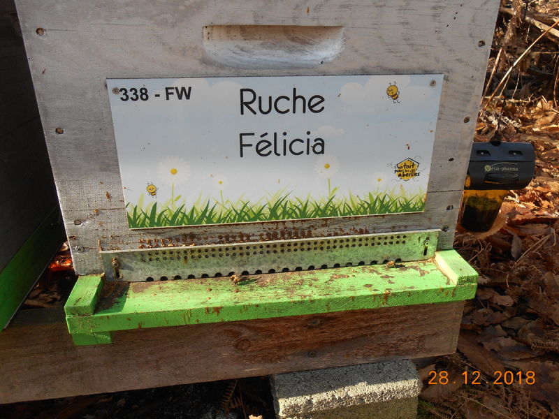 La ruche Félicia