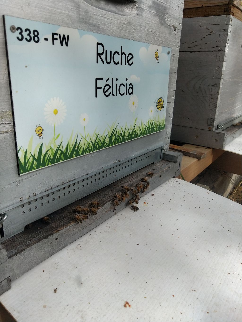 La ruche Félicia