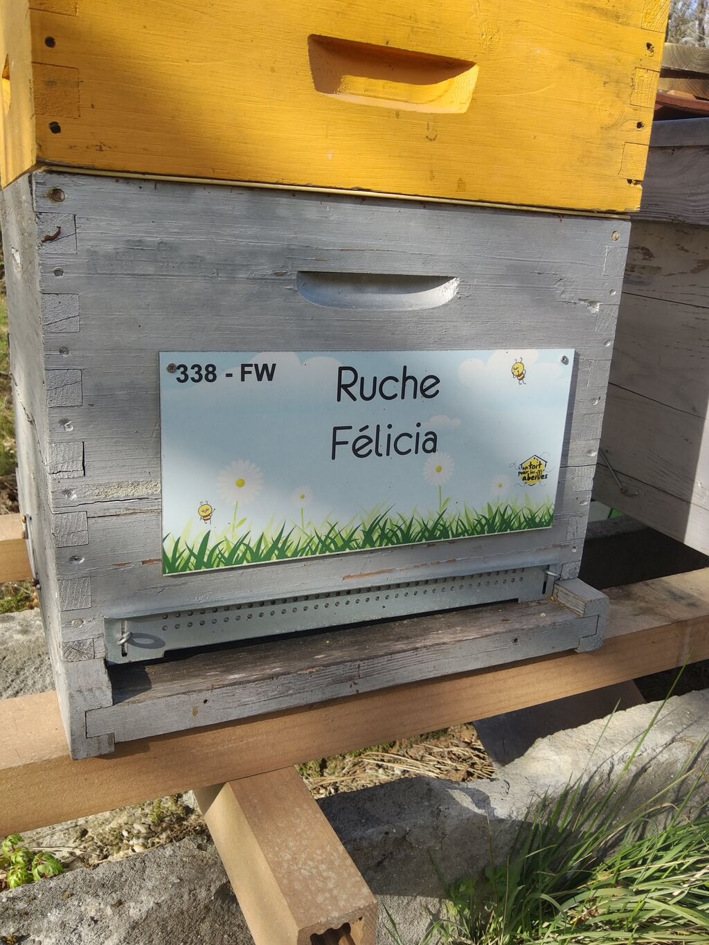 La ruche Félicia