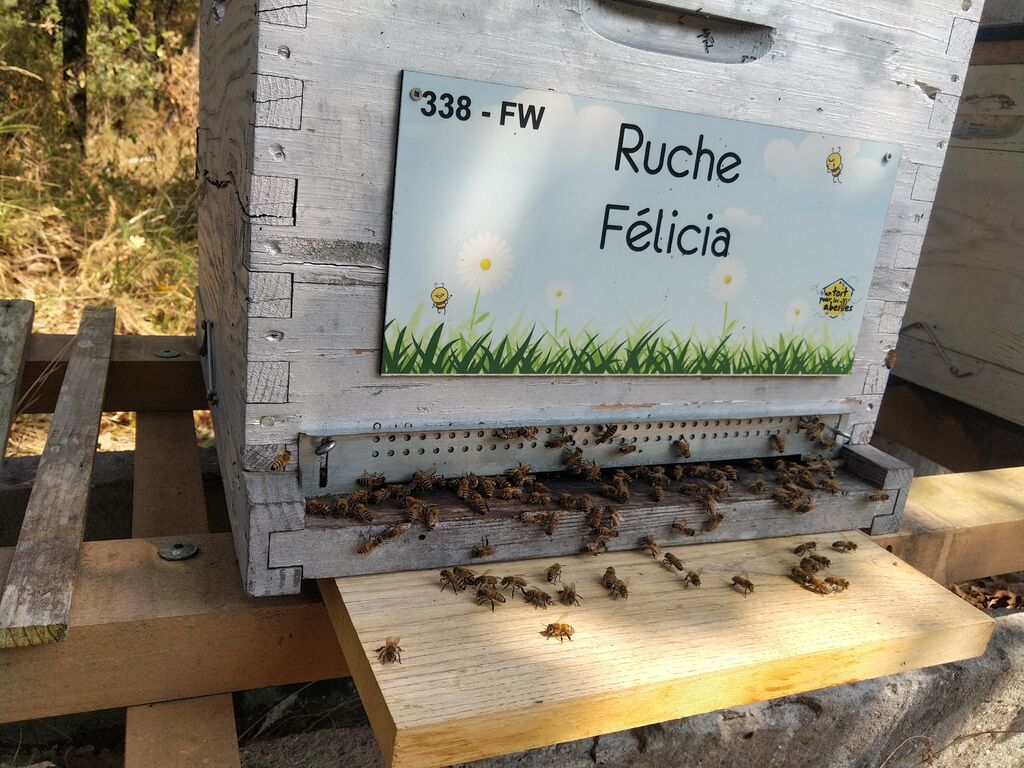 La ruche Félicia