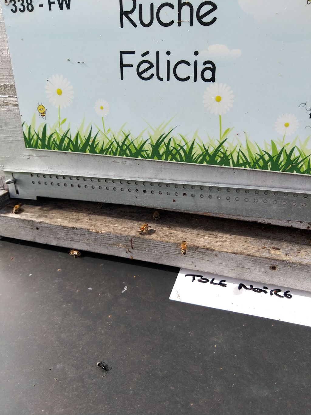 La ruche Félicia