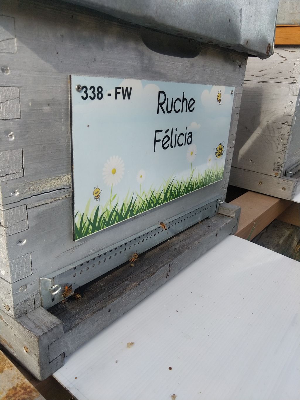 La ruche Félicia