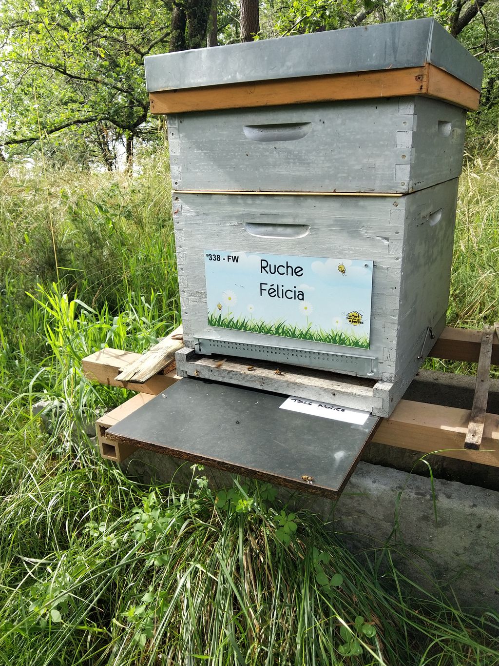 La ruche Félicia