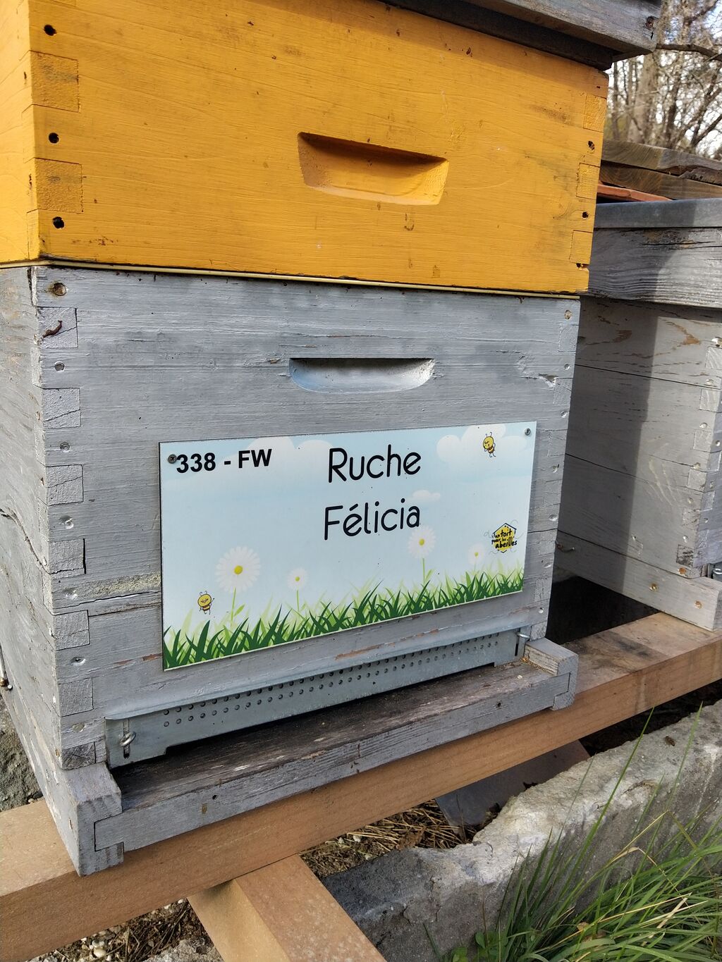 La ruche Félicia
