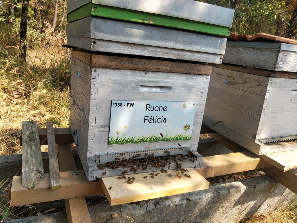 La ruche Félicia