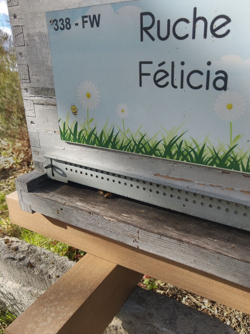 La ruche Félicia