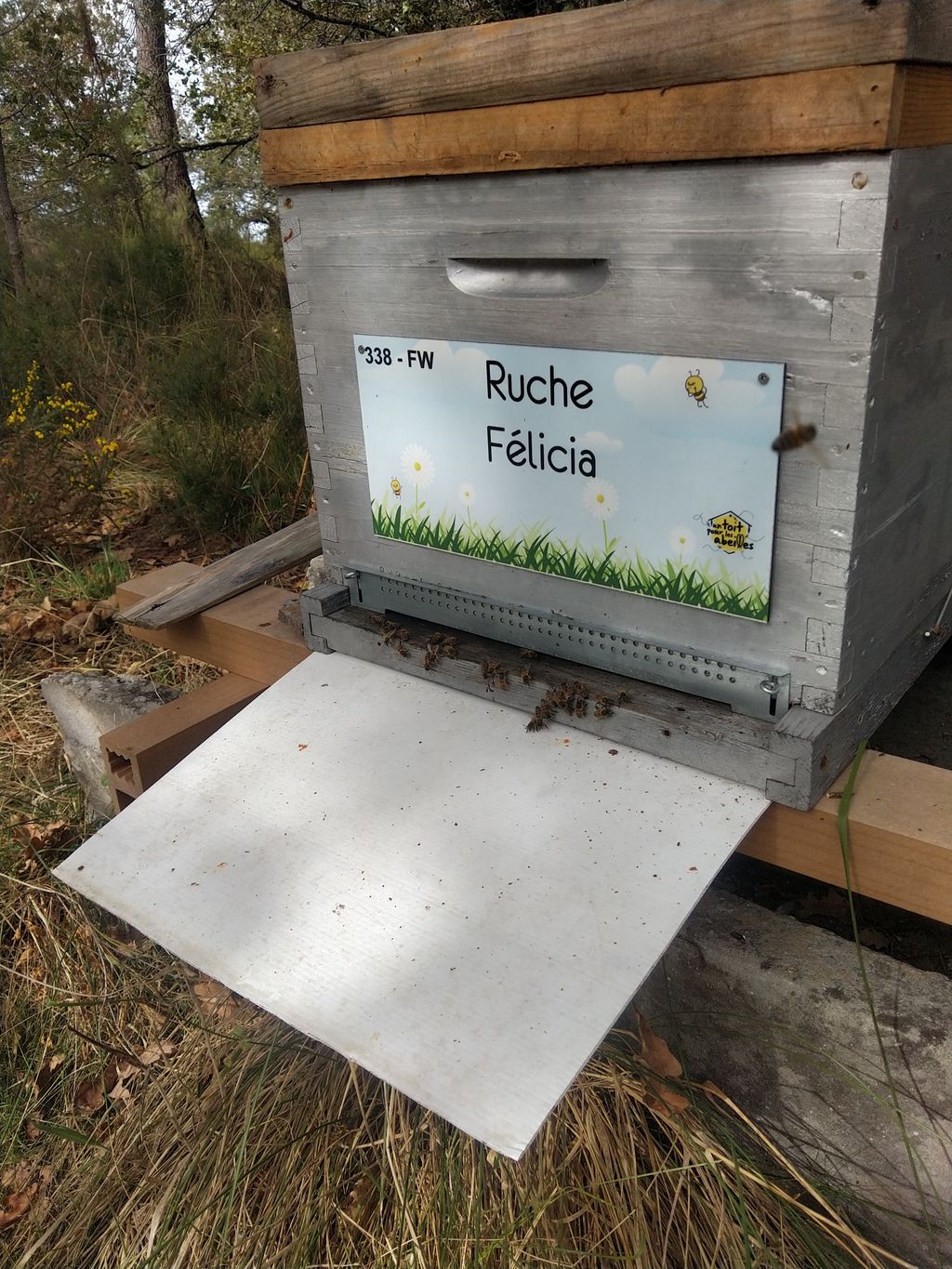 La ruche Félicia