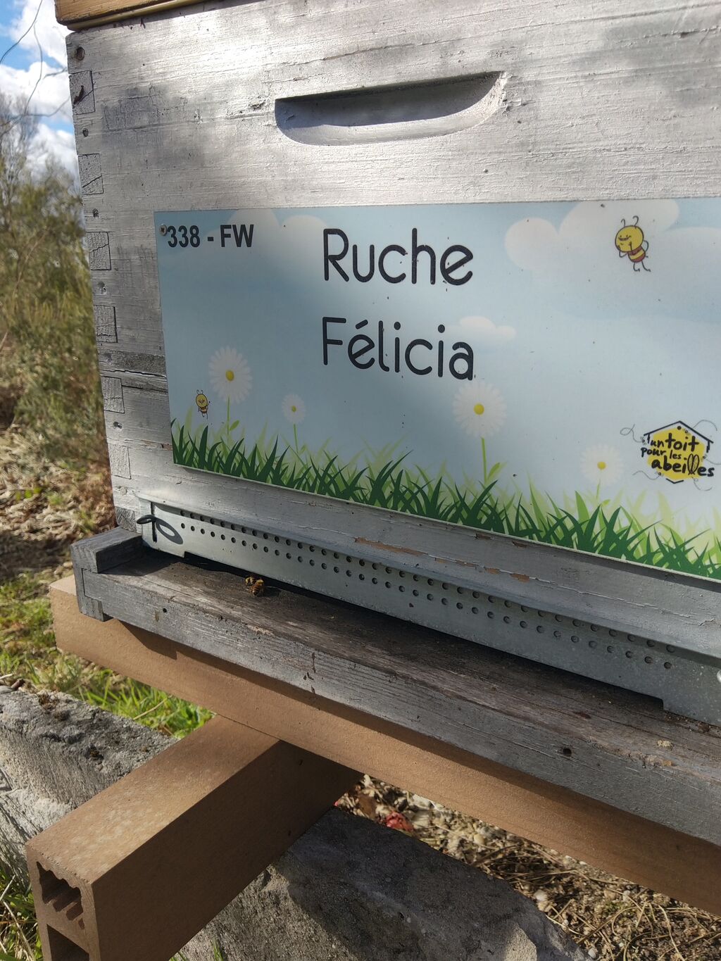 La ruche Félicia