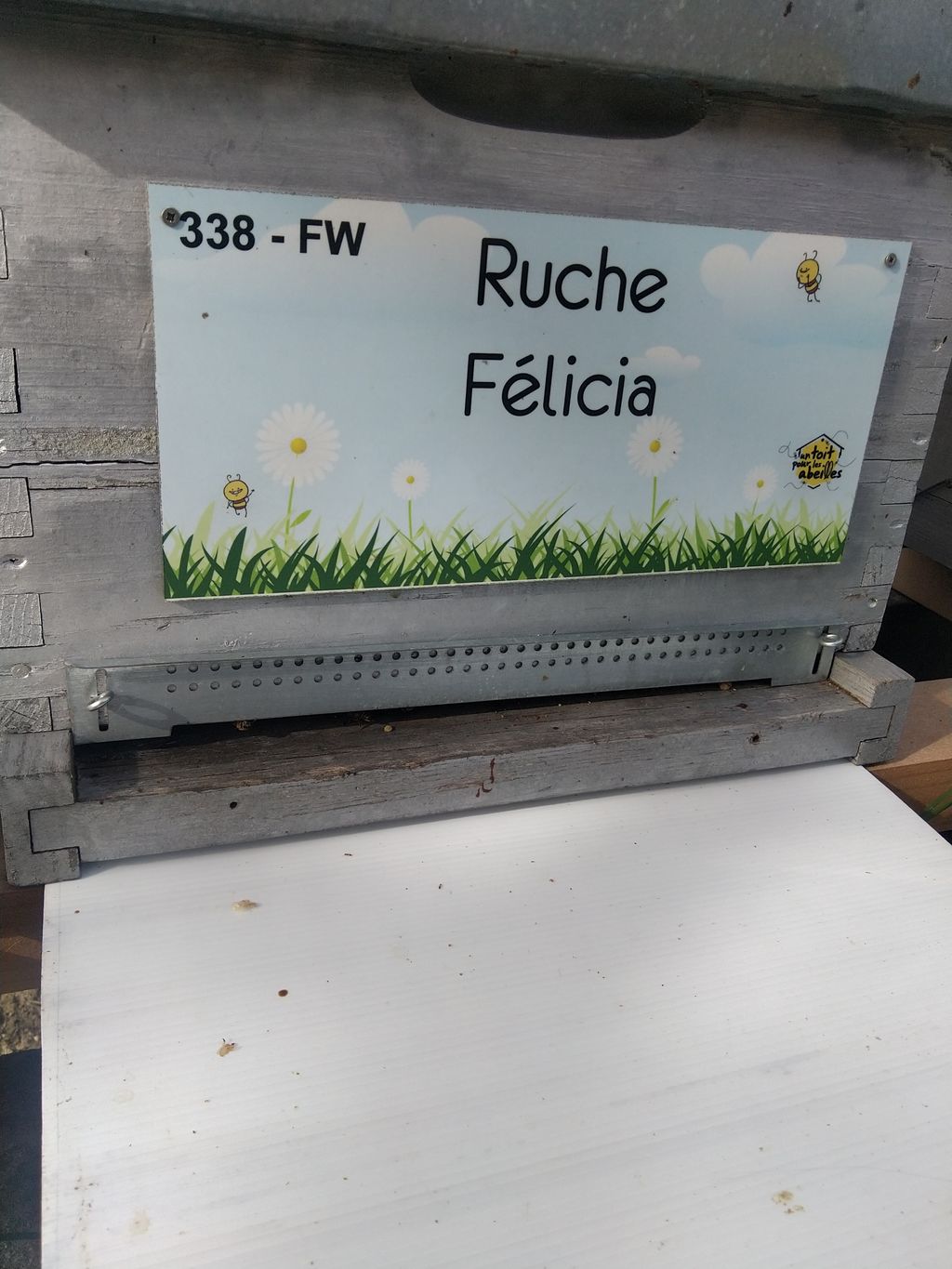 La ruche Félicia