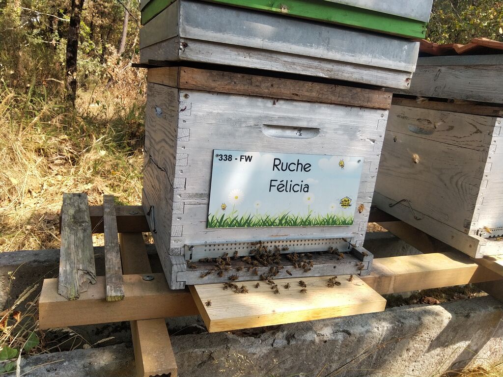 La ruche Félicia