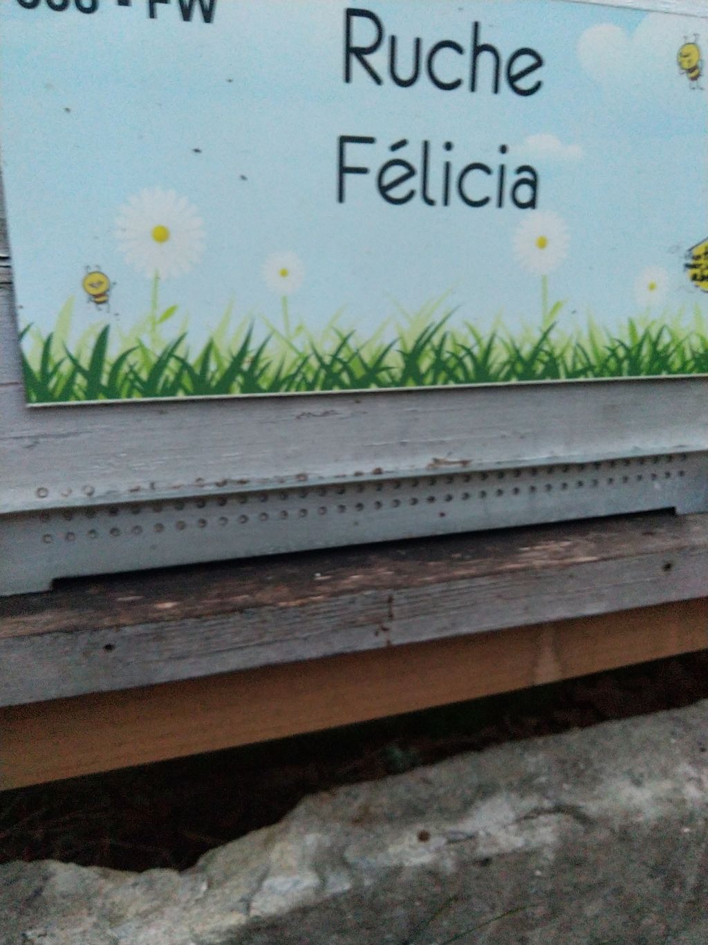 La ruche Félicia