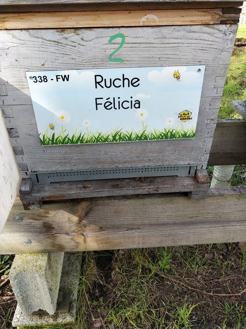 La ruche Félicia