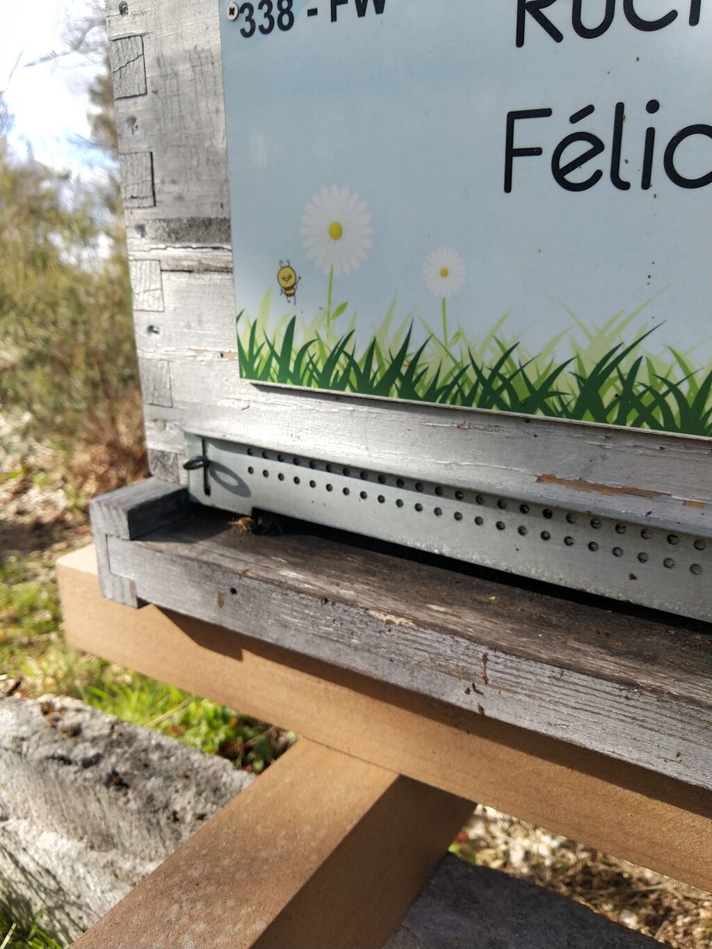 La ruche Félicia