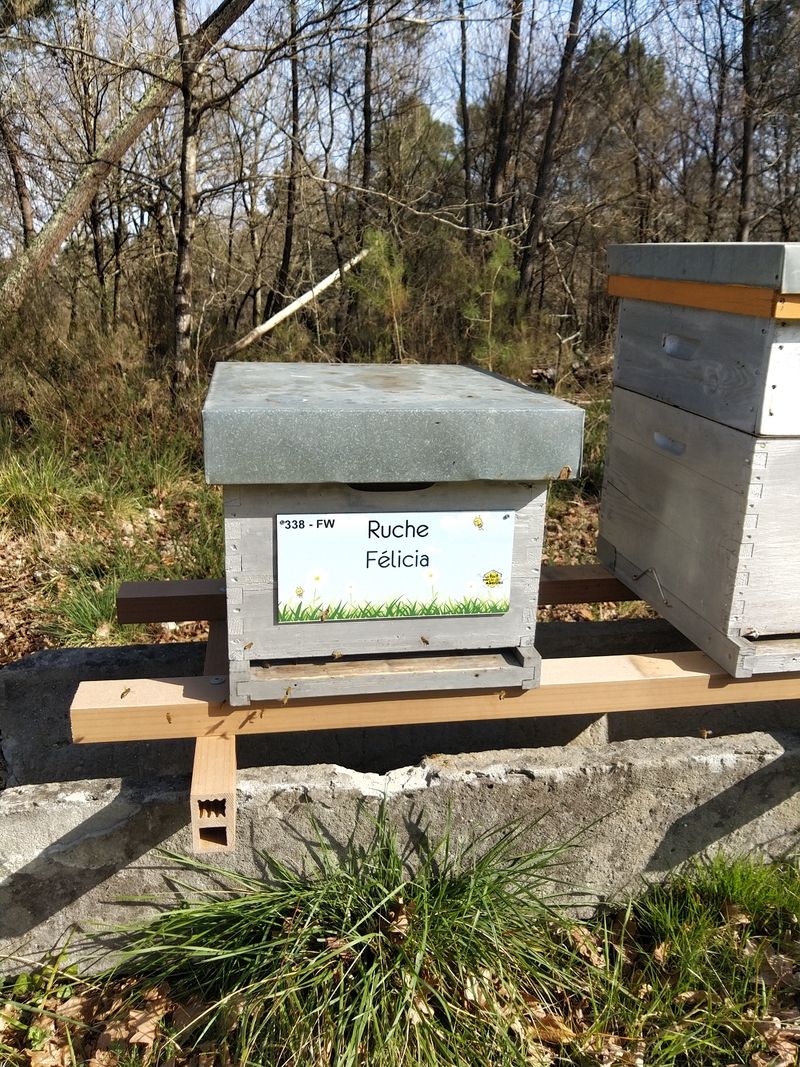 La ruche Félicia