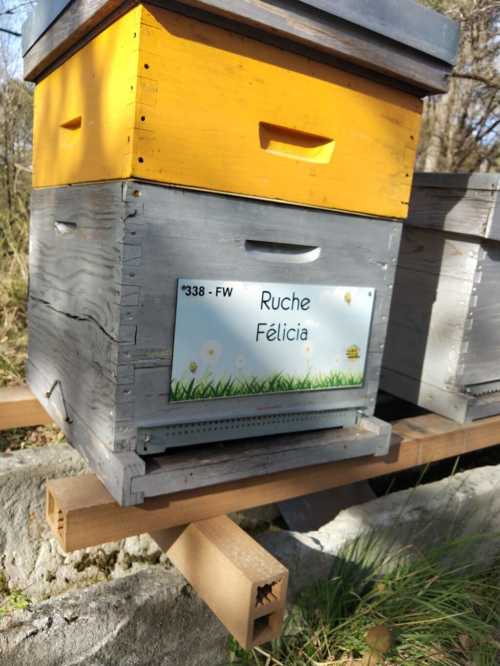 La ruche Félicia