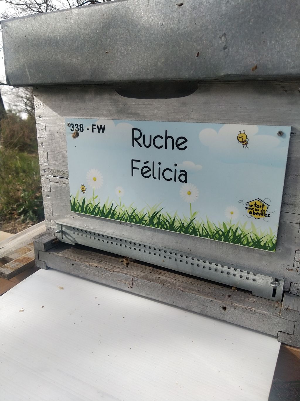 La ruche Félicia
