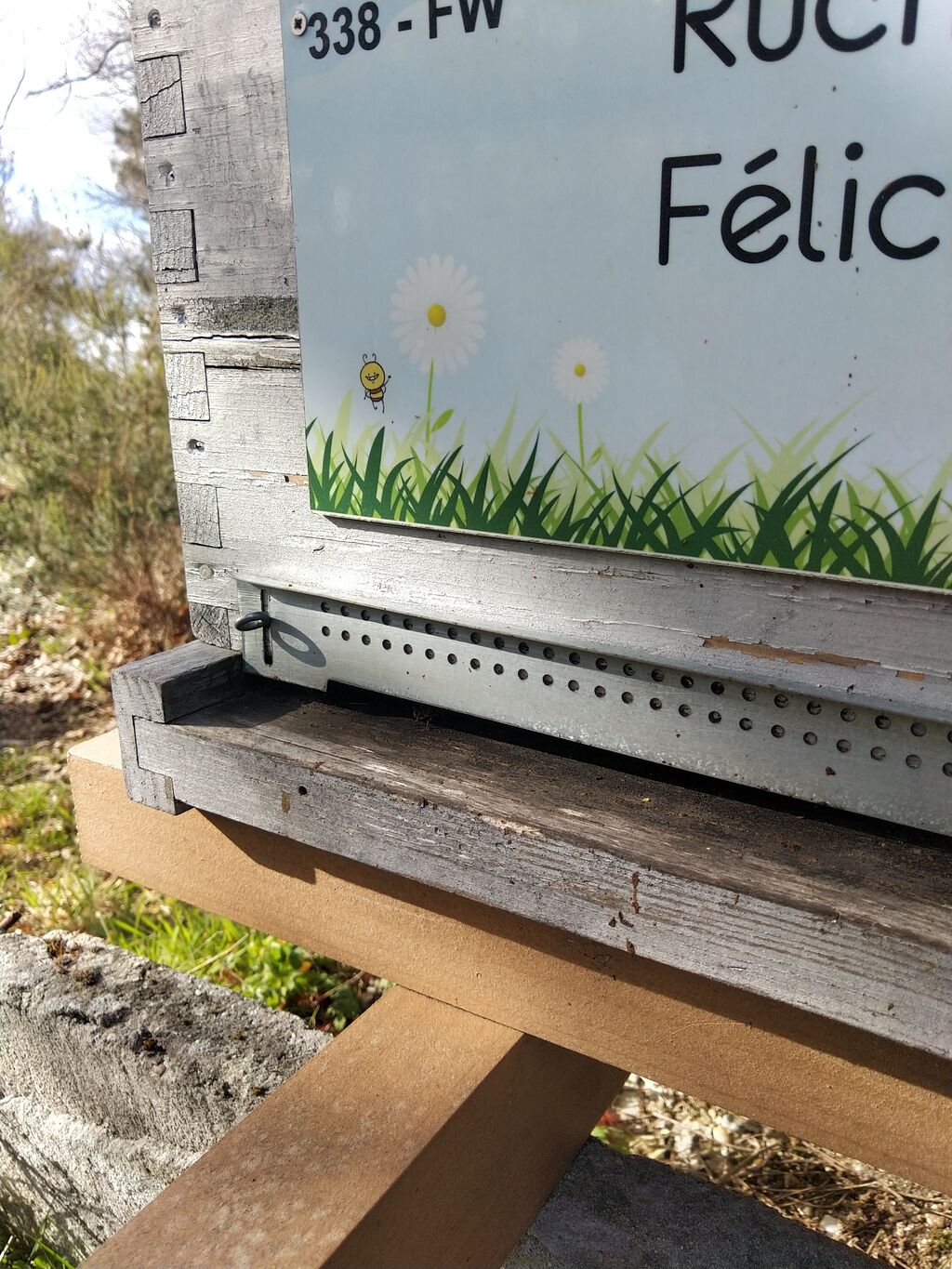 La ruche Félicia