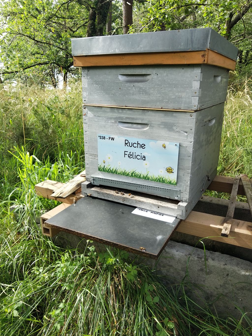 La ruche Félicia