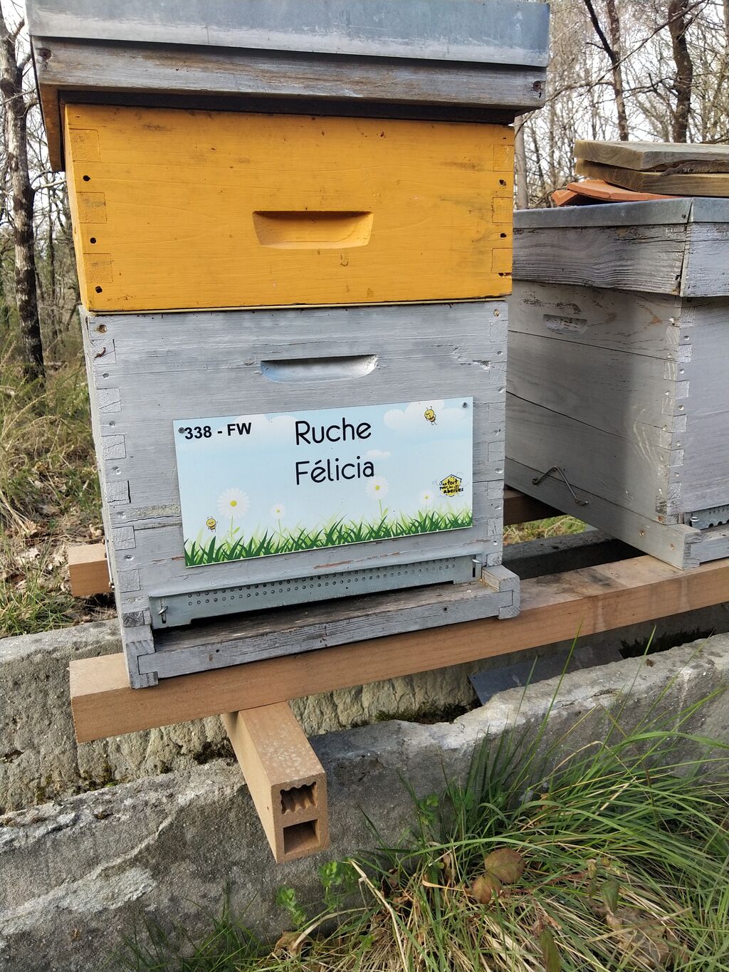 La ruche Félicia