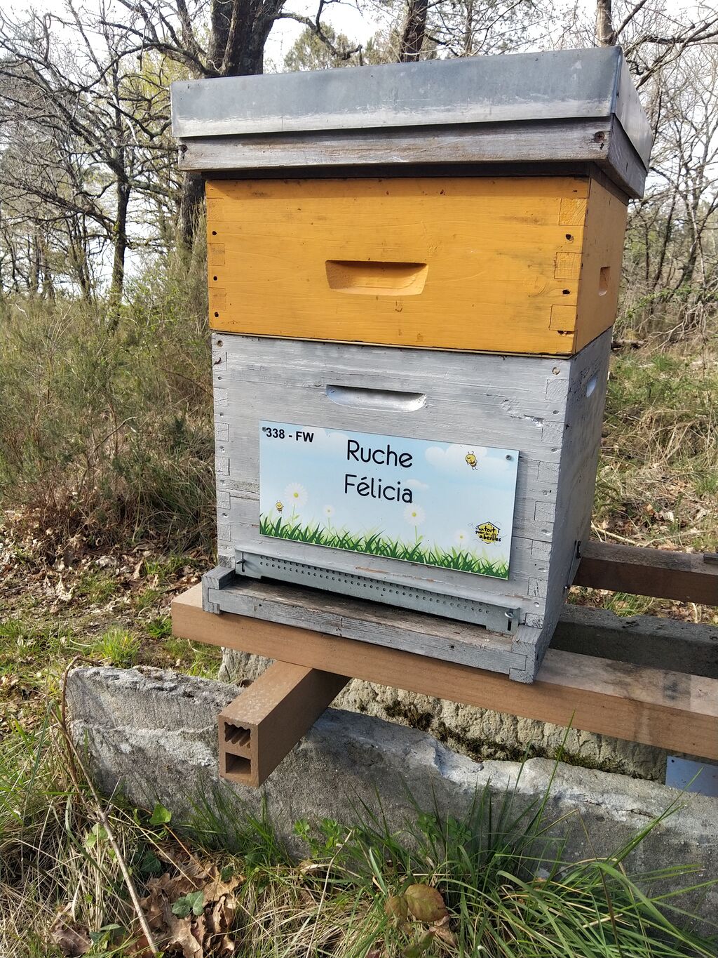 La ruche Félicia