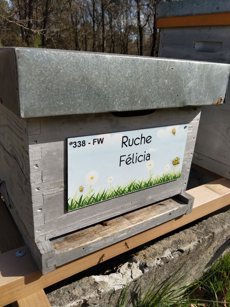 La ruche Félicia