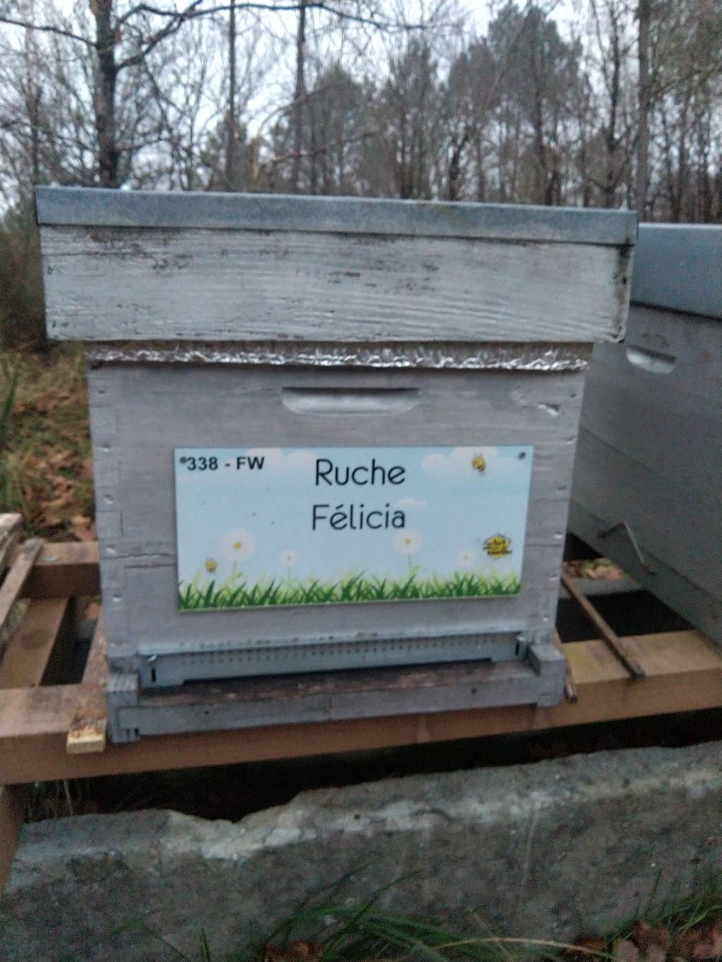 La ruche Félicia