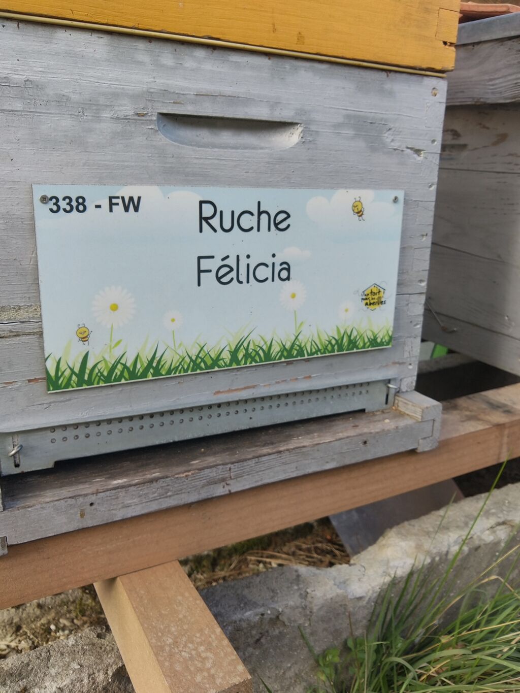 La ruche Félicia