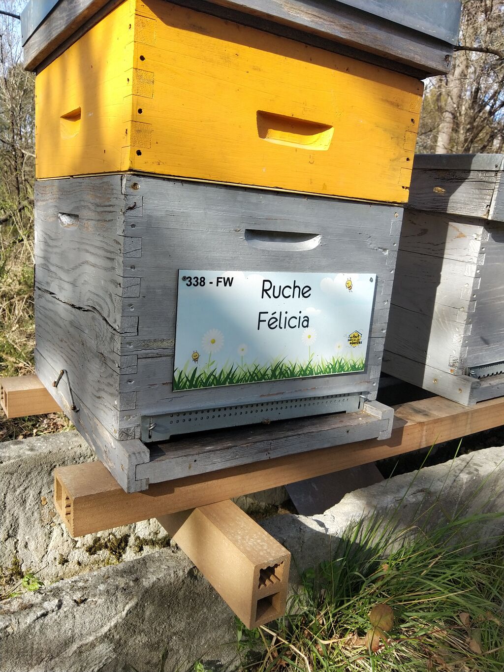 La ruche Félicia