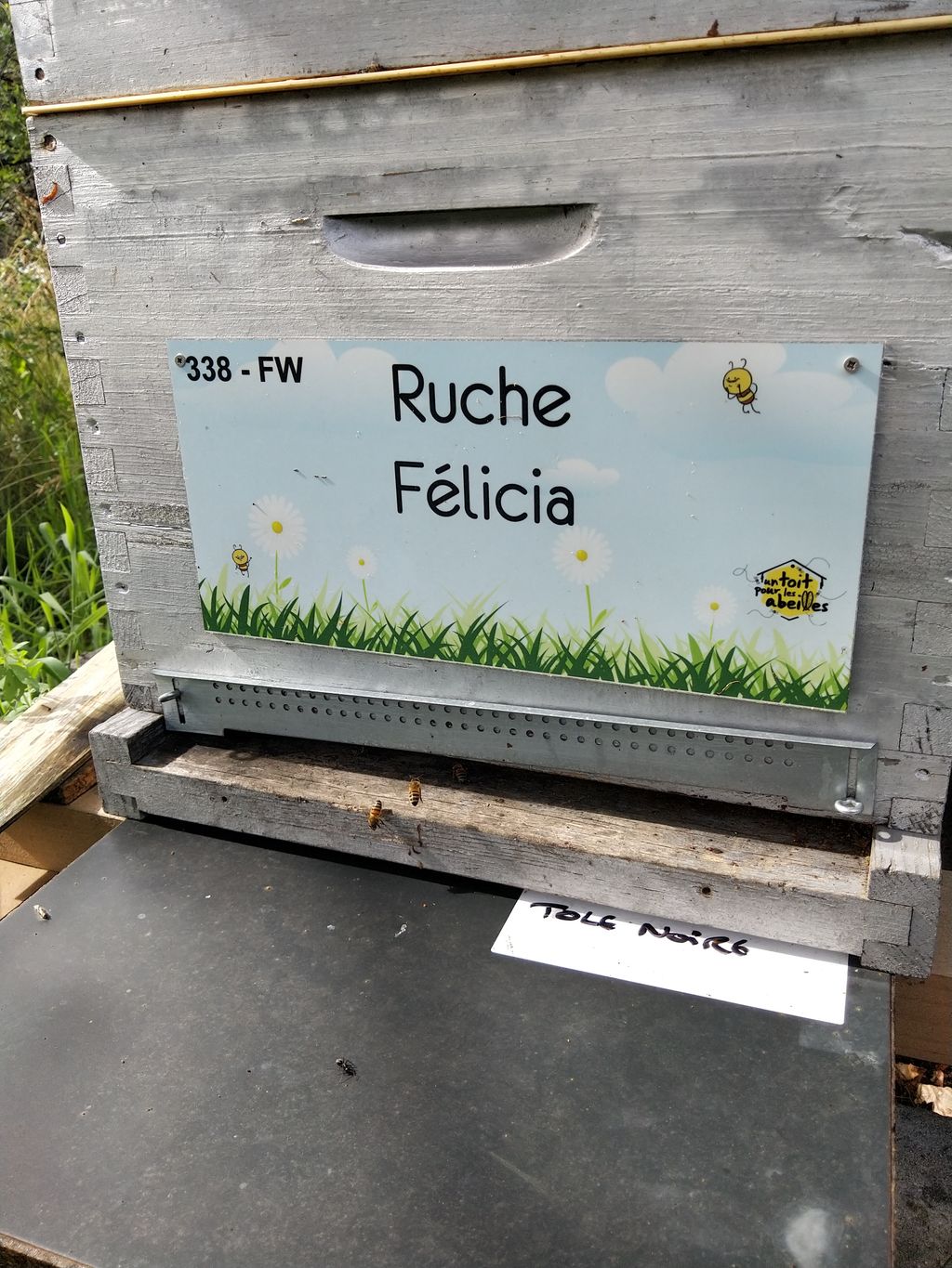 La ruche Félicia