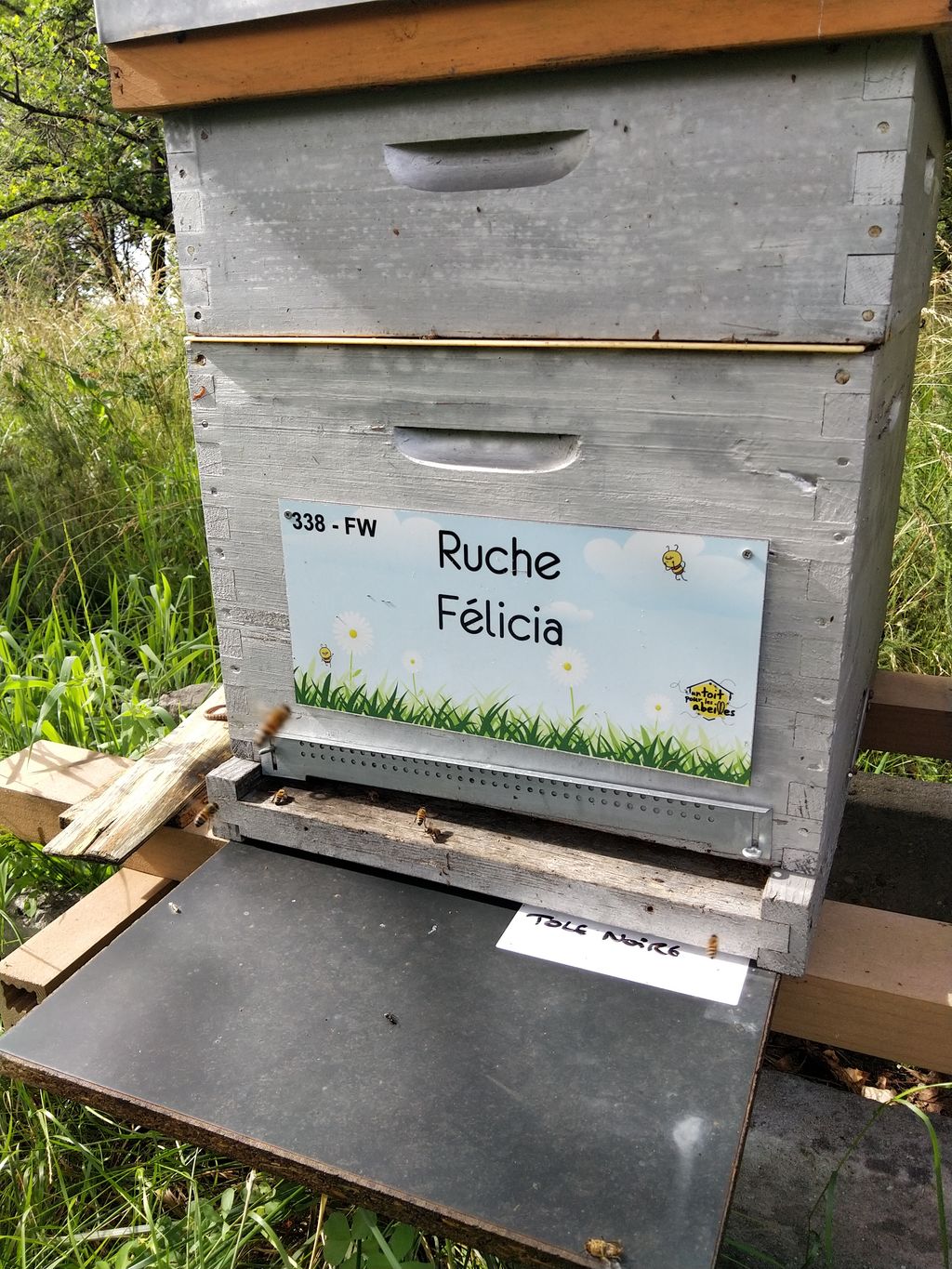La ruche Félicia