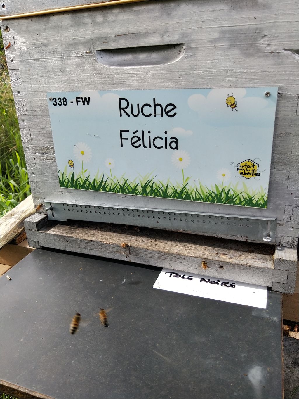 La ruche Félicia