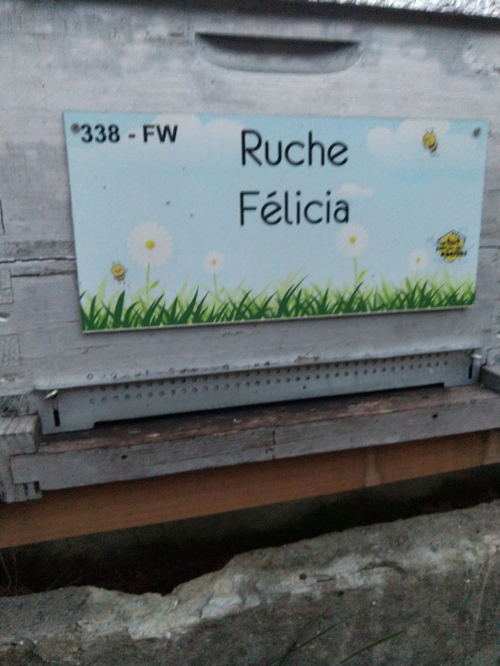 La ruche Félicia