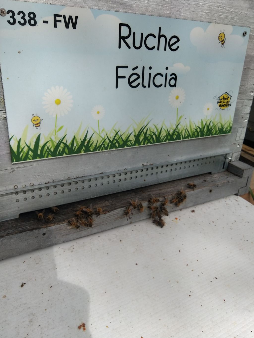 La ruche Félicia