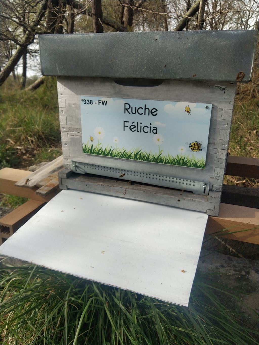 La ruche Félicia