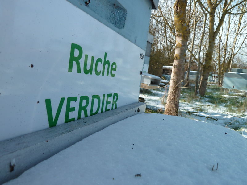 La ruche Verdier