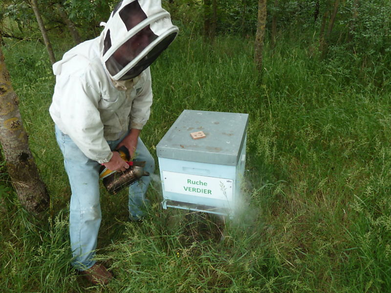 La ruche Verdier