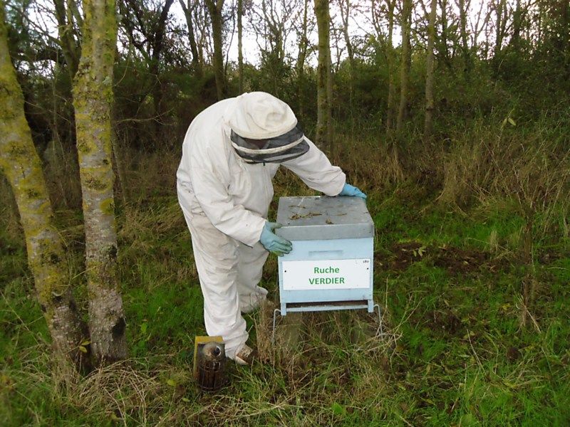 La ruche Verdier