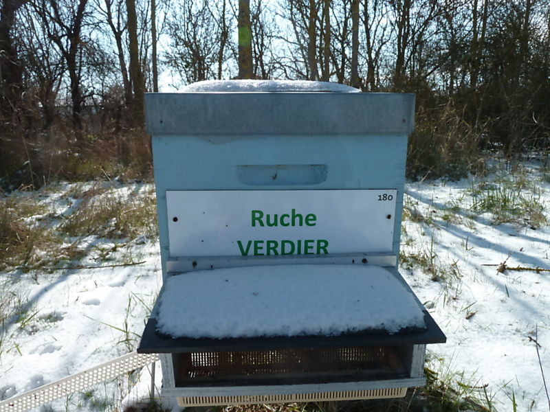 La ruche Verdier