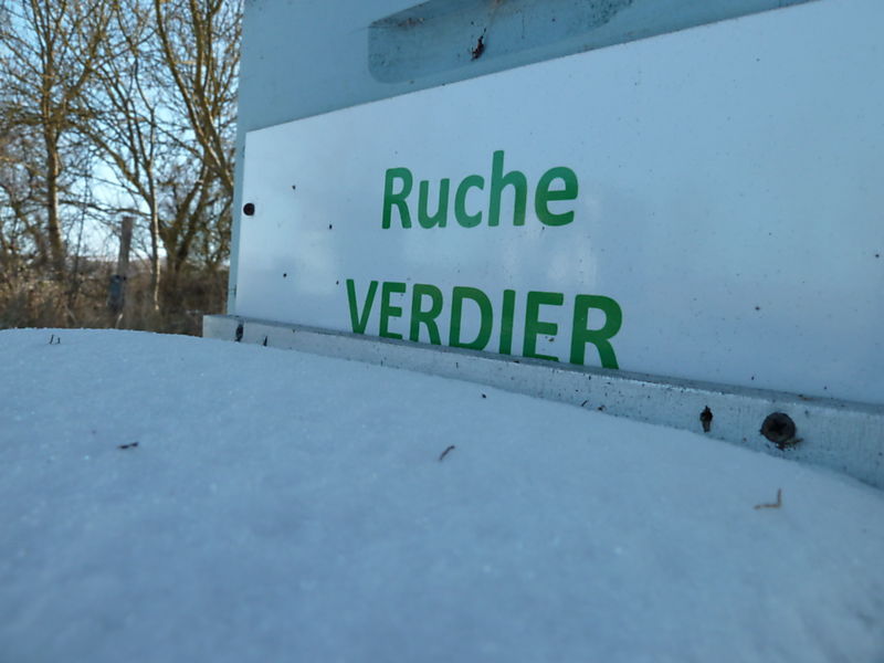 La ruche Verdier