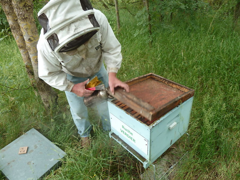 La ruche Verdier